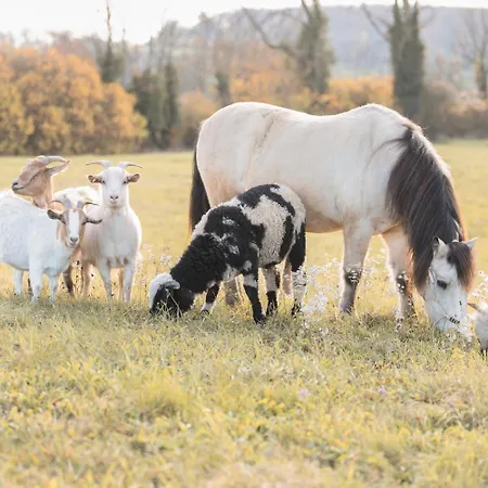 La Roulotte - Bain Nordique Et Animaux