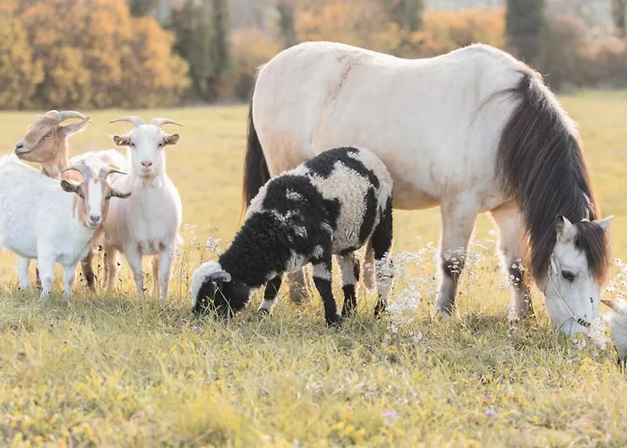 La Roulotte - Bain Nordique Et Animaux