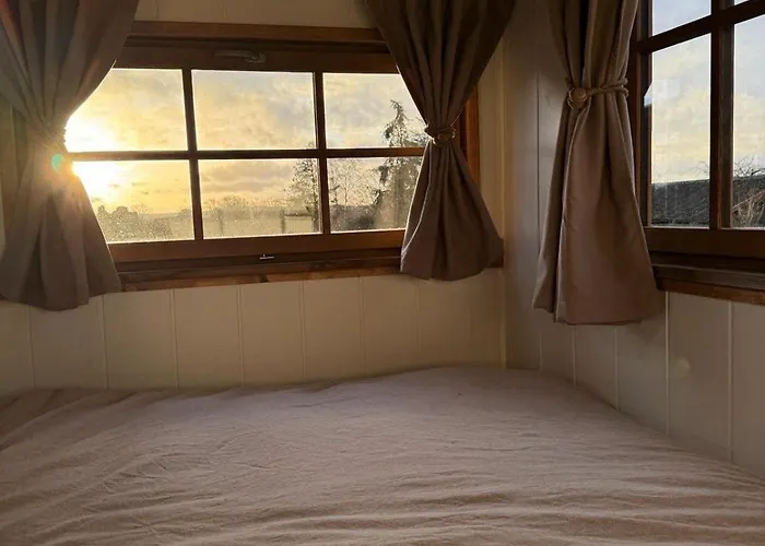 La Roulotte - Bain Nordique Et Animaux * Blâmont